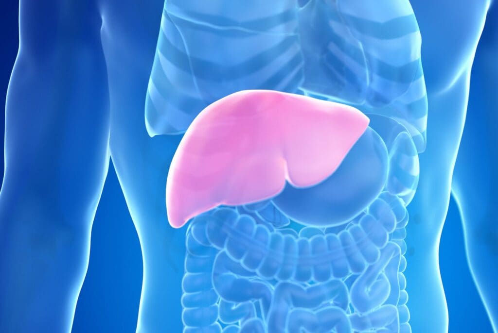 Glutathione: Your Body's Natural Detox Superstar - PUR-FORM