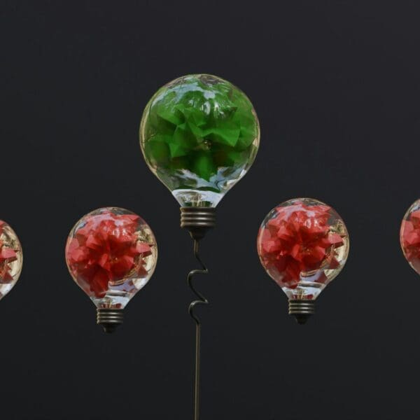 image that depict the false and fact